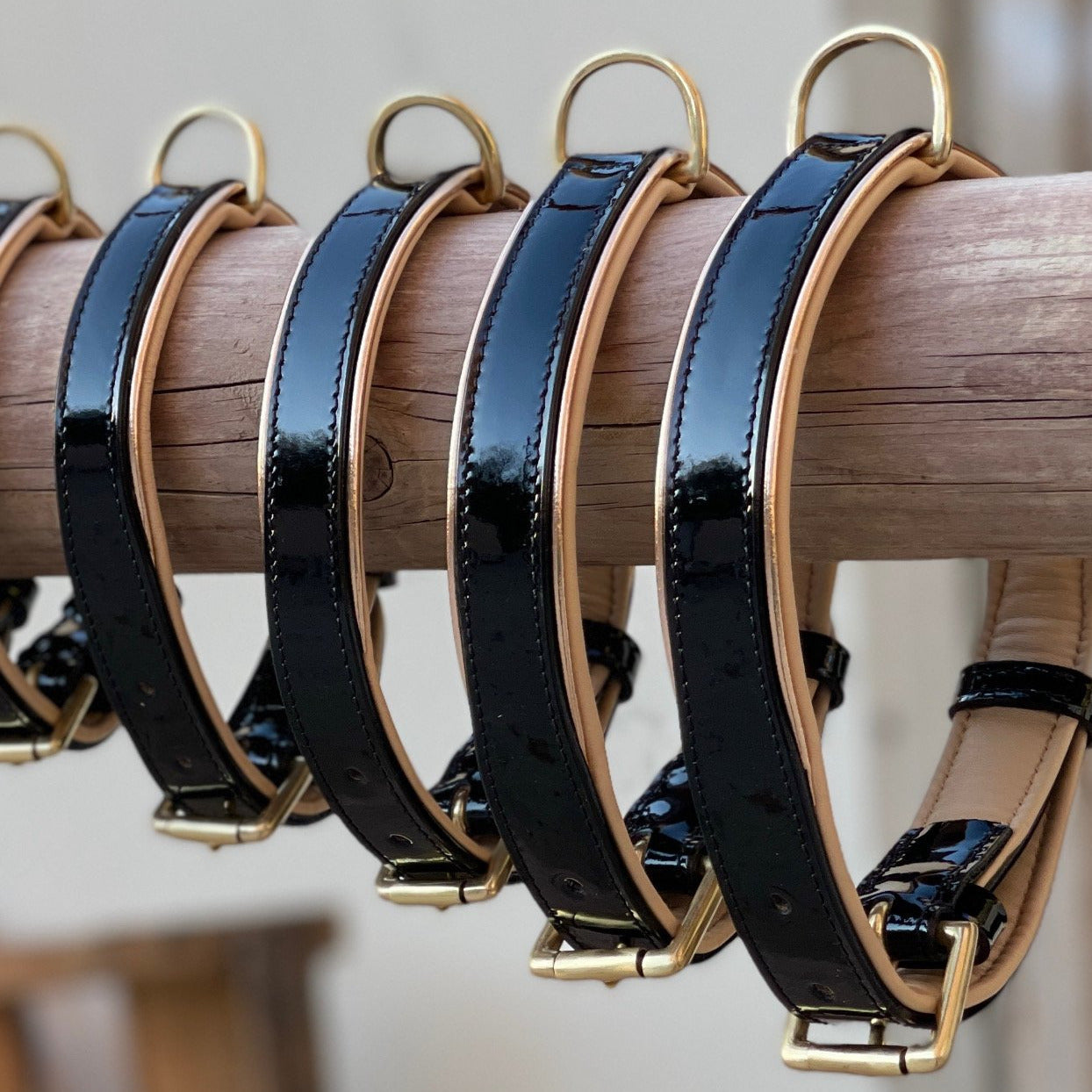 Dog Collars