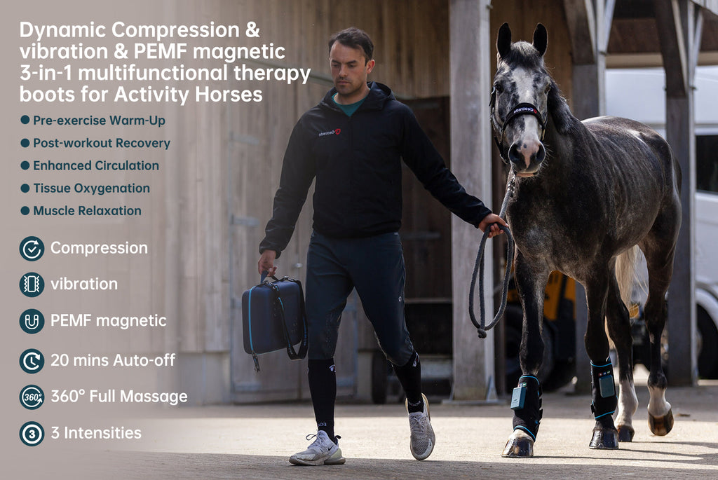 Compression Therapy Boots HorseLink