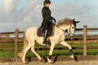 Ultraviolet Saddle Pad Set