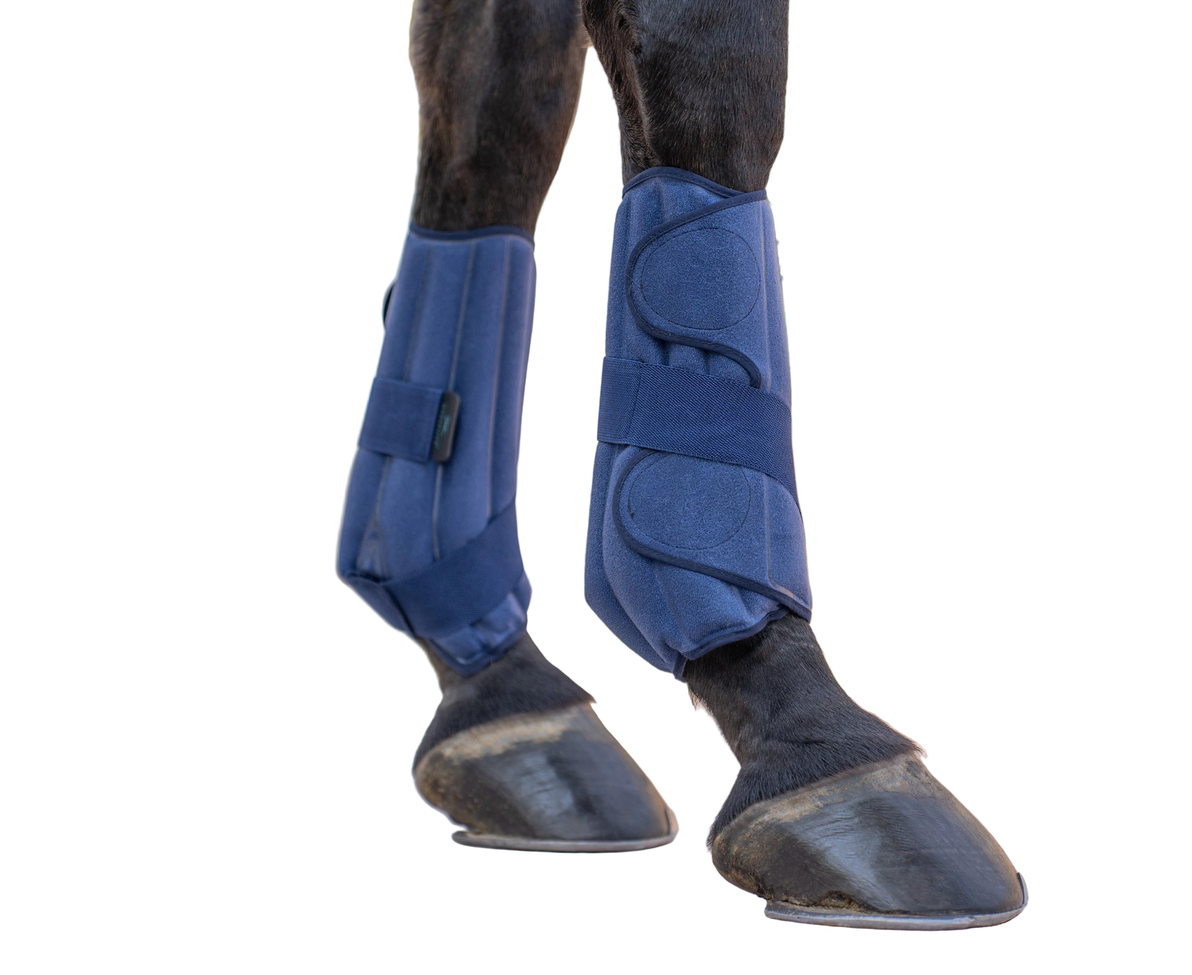 Compression Therapy Boots HorseLink
