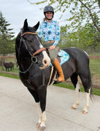 Meadow Muse Sun Shirt Quarter Zip