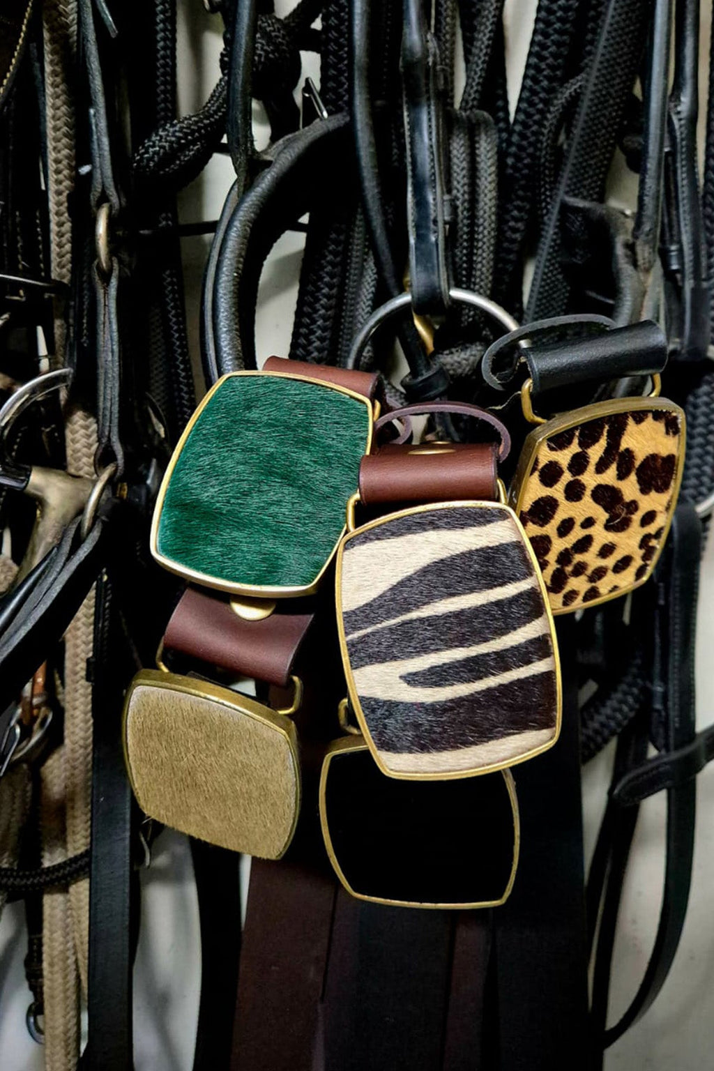 Buckle & Bound Buckle