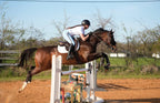 Horse and rider jumping over an obstacle in an outdoor equestrian setting