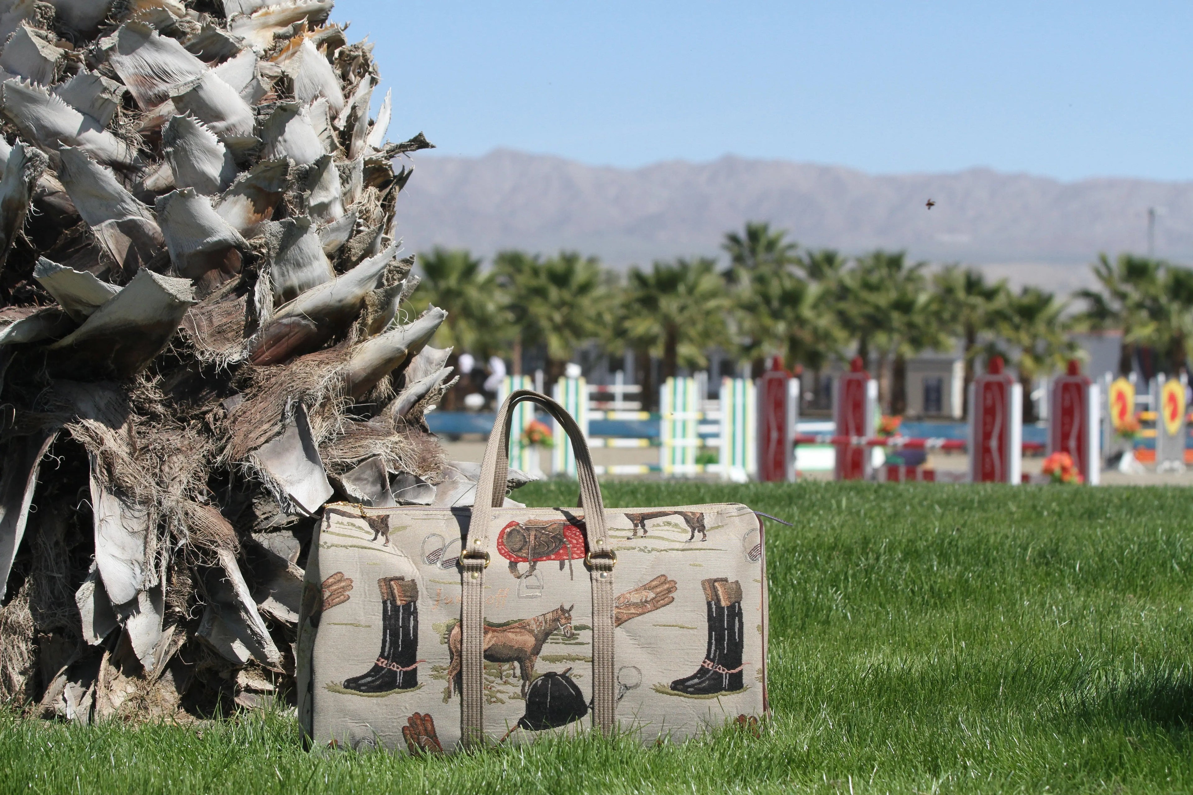 Two patterned bags on grass with a palm tree and mountains in the background
