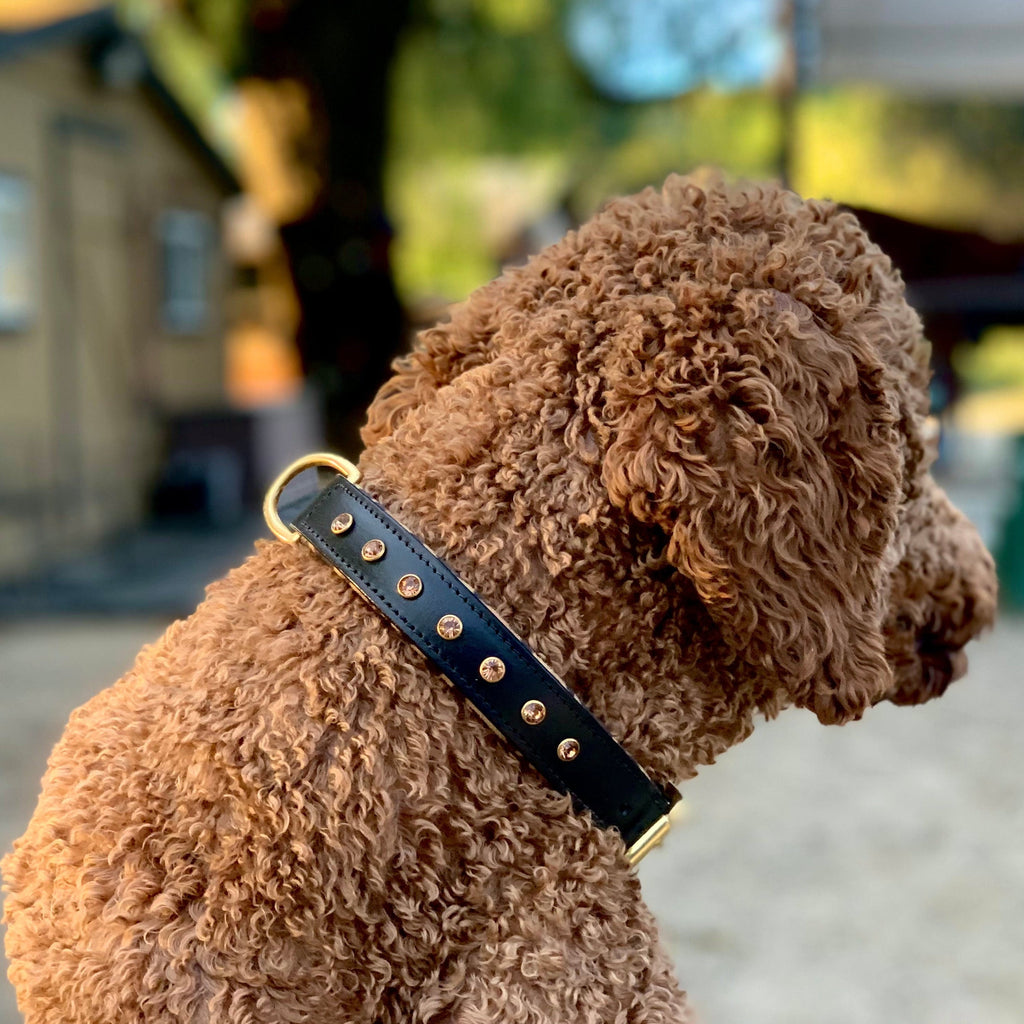 Black Leather Safari Dog Collar