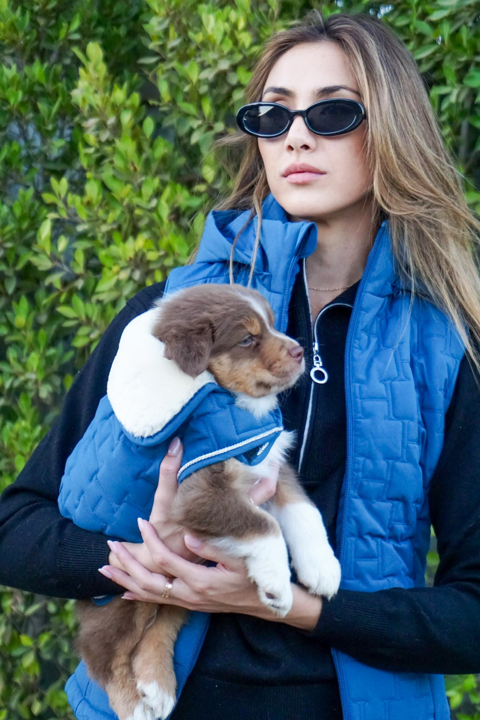 Bernie Dog Coat
