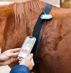 Compression Therapy Boots HorseLink