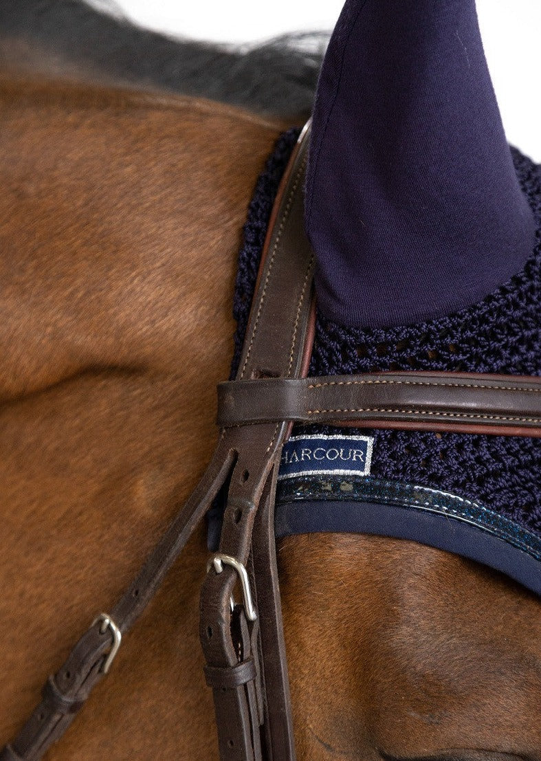 Close-up of a horse bridle with a visible brand label on a brown horse.