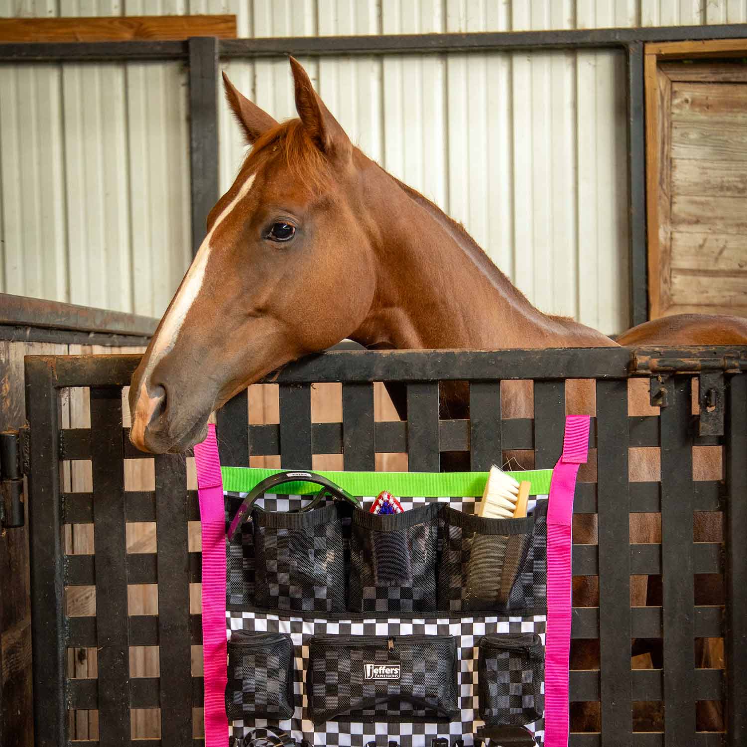 Expression Trailer Door Horse Grooming Caddy