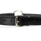Jeffers Premium Padded Black Leather Dog Collars